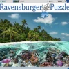 A Dive in the Maldives 2000 biter
