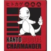 Album Pokemon 4-Pocket Charmander