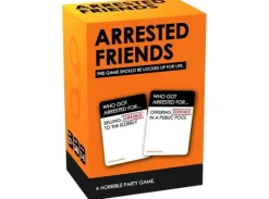 Arrested Friends Partyspill