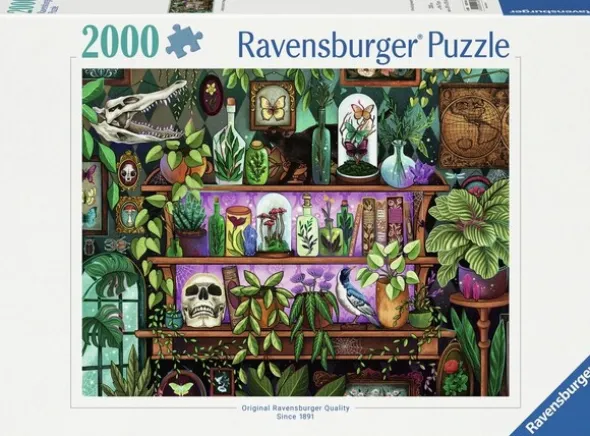 A Witchs Favorite Things 2000 biter