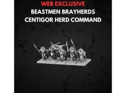 Beastmen Brayherds Centigor Herd Command