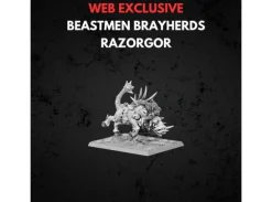 Beastmen Brayherds Razorgor