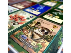 Biomes of Nilgiris Brettspill