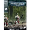 Blood Angels Sanguinary Priest