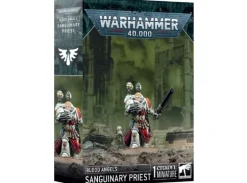 Blood Angels Sanguinary Priest