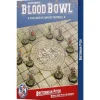 Blood Bowl Bretonnian Pitch