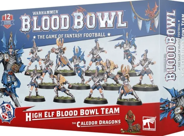 Blood Bowl High Elf Team