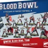 Blood Bowl Team The Drakfang Thirsters