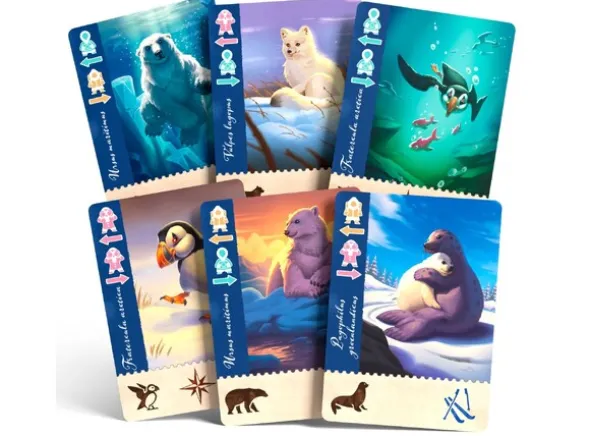 Borealis Arctic Expeditions Brettspill