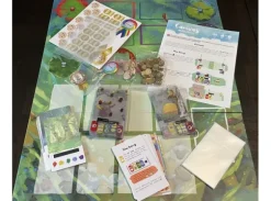 Canvas Reflections Deluxe Expansion