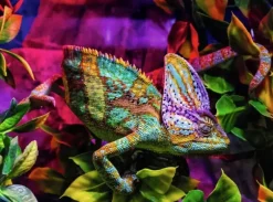 Chameleon 500 biter Puslespill