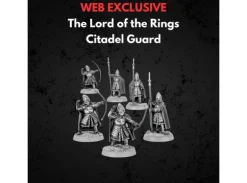 Citadel Guard