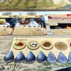 Corps of Discovery Insecta Expansion