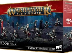 Daughters of Khaine Blood Hags
