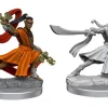 D&D Figur Frameworks Elf Monk Male