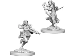 D&D Figur Nolzur Air Genasi Rogue Female
