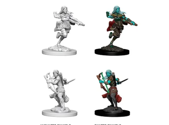 D&D Figur Nolzur Air Genasi Rogue Female