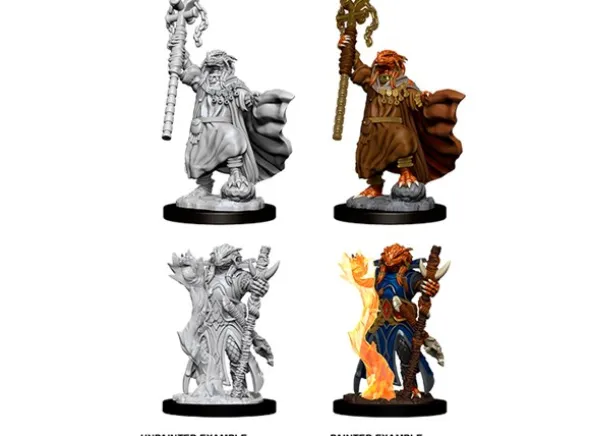 D&D Figur Nolzur Dragonborn Sorce Female