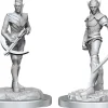 D&D Figur Nolzur Drow Fighters