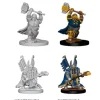 D&D Figur Nolzur Dwarf Paladin Male