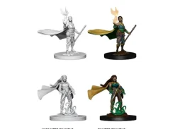 D&D Figur Nolzur Elf Druid Female