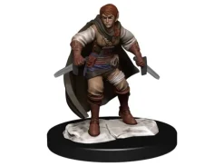 D&D Figur Nolzur Half-Elf Rogue Female