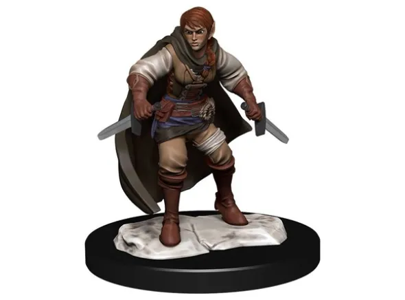 D&D Figur Nolzur Half-Elf Rogue Female