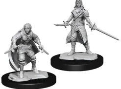 D&D Figur Nolzur Half-Elf Rogue Female