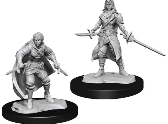 D&D Figur Nolzur Half-Elf Rogue Female