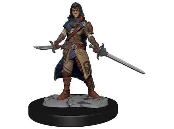D&D Figur Nolzur Half-Elf Rogue Female