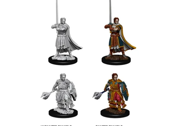 D&D Figur Nolzur Human Cleric Male