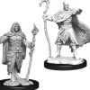 D&D Figur Nolzur Human Druid Male