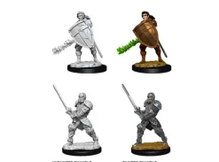 D&D Figur Nolzur Human Fighter Male