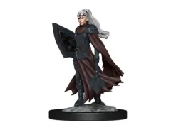 D&D Figur Nolzur Kalashtar Cleric Female