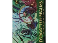 D&D Forgotten Realms DM Expansion LE