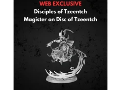Disciples of Tzeentch Magister on Disc