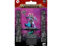 Disciples of Tzeentch Tzaangor Shaman