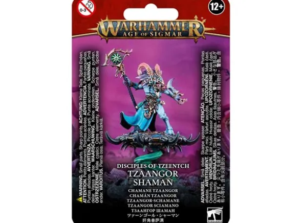 Disciples of Tzeentch Tzaangor Shaman