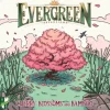Evergreen Cherry Blossoms & Bamboo Exp