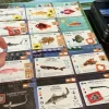 Finspan Sharks & Reefs Expansion