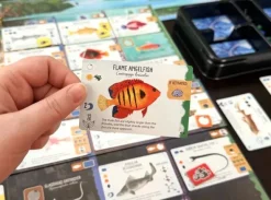 Finspan Sharks & Reefs Expansion