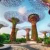 Garden by the Bay Singapore 1500 biter