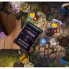 Gloomhaven Cassandra Forgotten Diviner