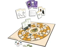 Harry Potter Wizard Challenge Brettspill
