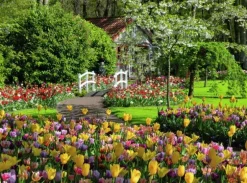 Keukenhof Gardens 1000 biter Puslespill