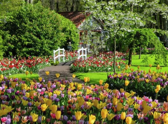 Keukenhof Gardens 1000 biter Puslespill