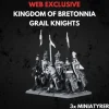 Kingdom of Bretonnia Grail Knights