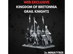 Kingdom of Bretonnia Grail Knights