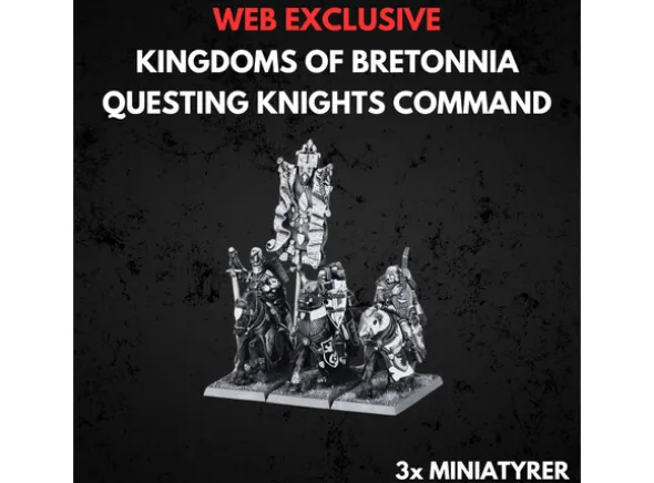 Kingdom of Bretonnia Questing Command