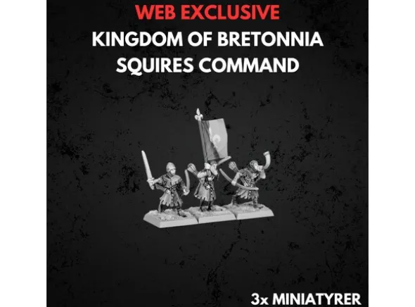 Kingdom of Bretonnia Squires Command
